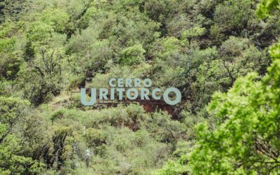 Depilación Láser Zaragoza: Todo lo que Necesitas Saber sobre esta Tecnología Avanzada