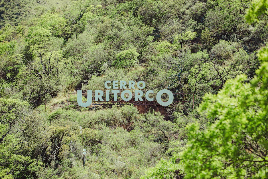 depilación láser Zaragoza